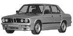 BMW E28 P066C Fault Code