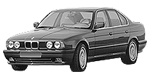 BMW E34 P066C Fault Code